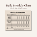 Daily Schedule Chart