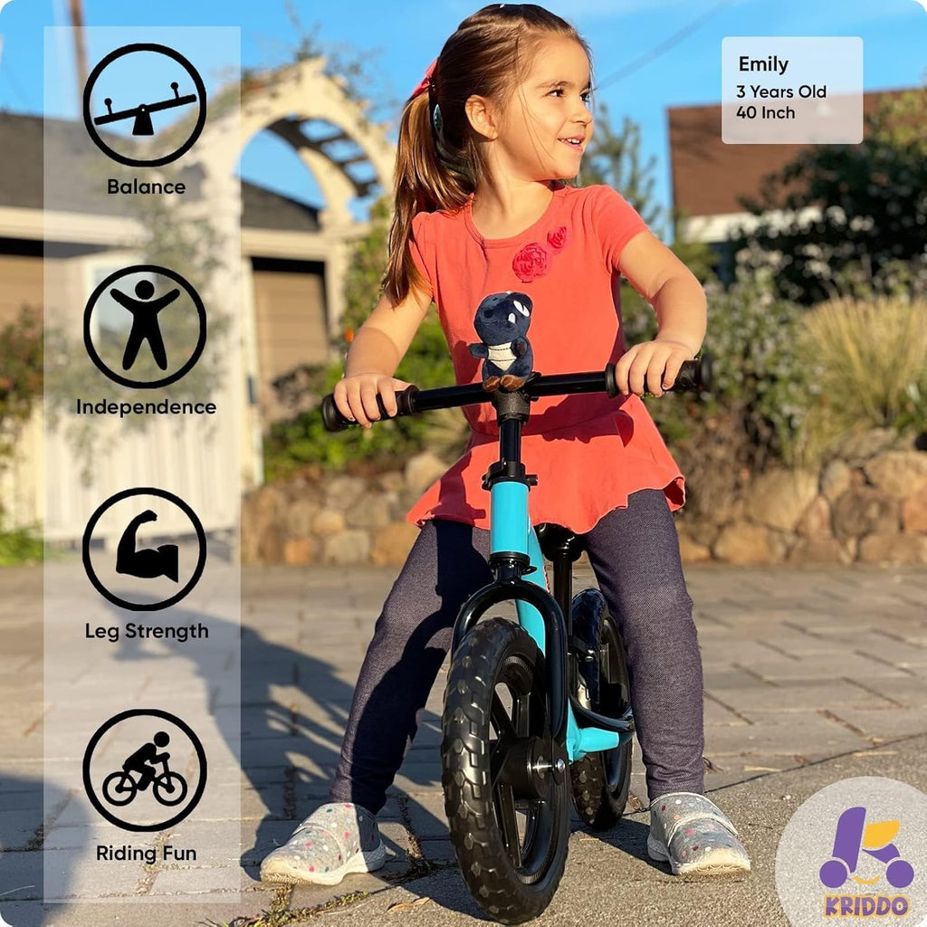 Toddler Balance Bike 2 Year Old, Age 24 Months to 5 Years Old, Early Learning Interactive Push Bicycle with Steady Balancing, Gift Bike for 2-5 Boys Girls, Blue