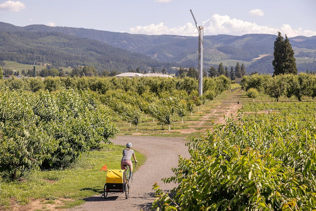 Bee, 1 and 2 Seat, Lightweight, Kids Bike-Only Trailer